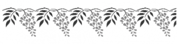 Storch Schablone (zweischlägig) 25 22 17 Floral