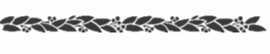 Storch Schablone (einschlägig) 25 12 08 Floral