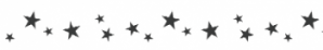 Storch Schablone (einschlägig) 25 16 01 Astro